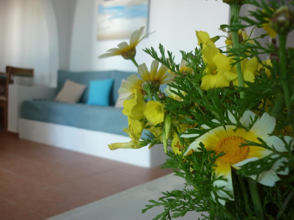 Villa Aelia Santorini Vóthon Habitación foto